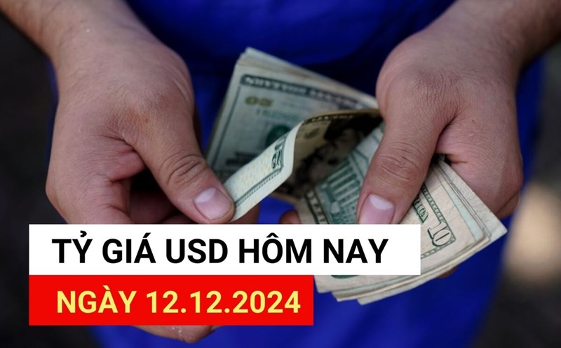 Dilar Rind USD exchange rate today 13.12: Reasons for USD's sharp increase