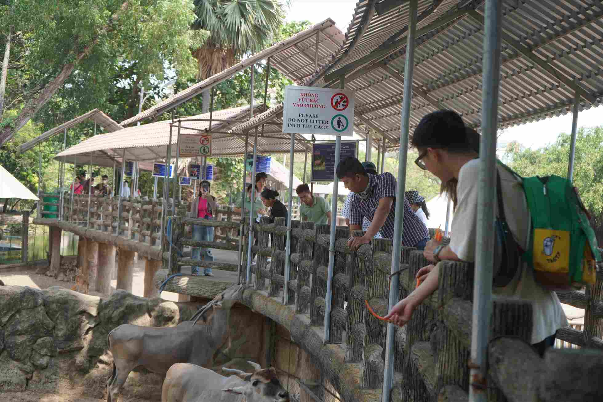 Du khach tham quan o Thao Cam Vien Sai Gon. Anh: Phuong Ngan
