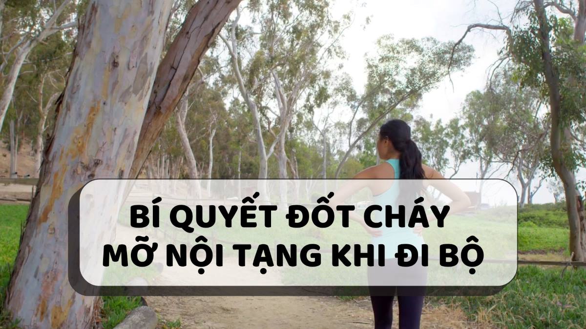 Secret to burning visceral fat while walking. Graphics: Thanh Thanh