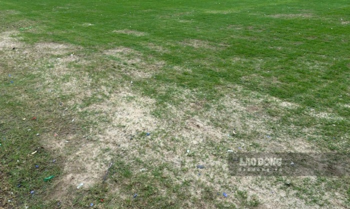 My Dinh Stadium grass on the morning of December 12. Photo: An Nguyen