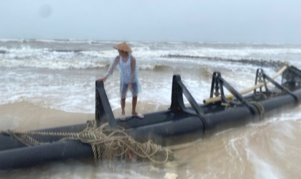 A strange, long, light-colored object drifted ashore in Quang Ngan commune (Quang Dien district, Thua Thien Hue province). Photo: VT