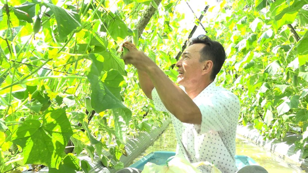 Mr. Duc was recognized as a good farmer at the commune level. Photo: Xuan Nhi