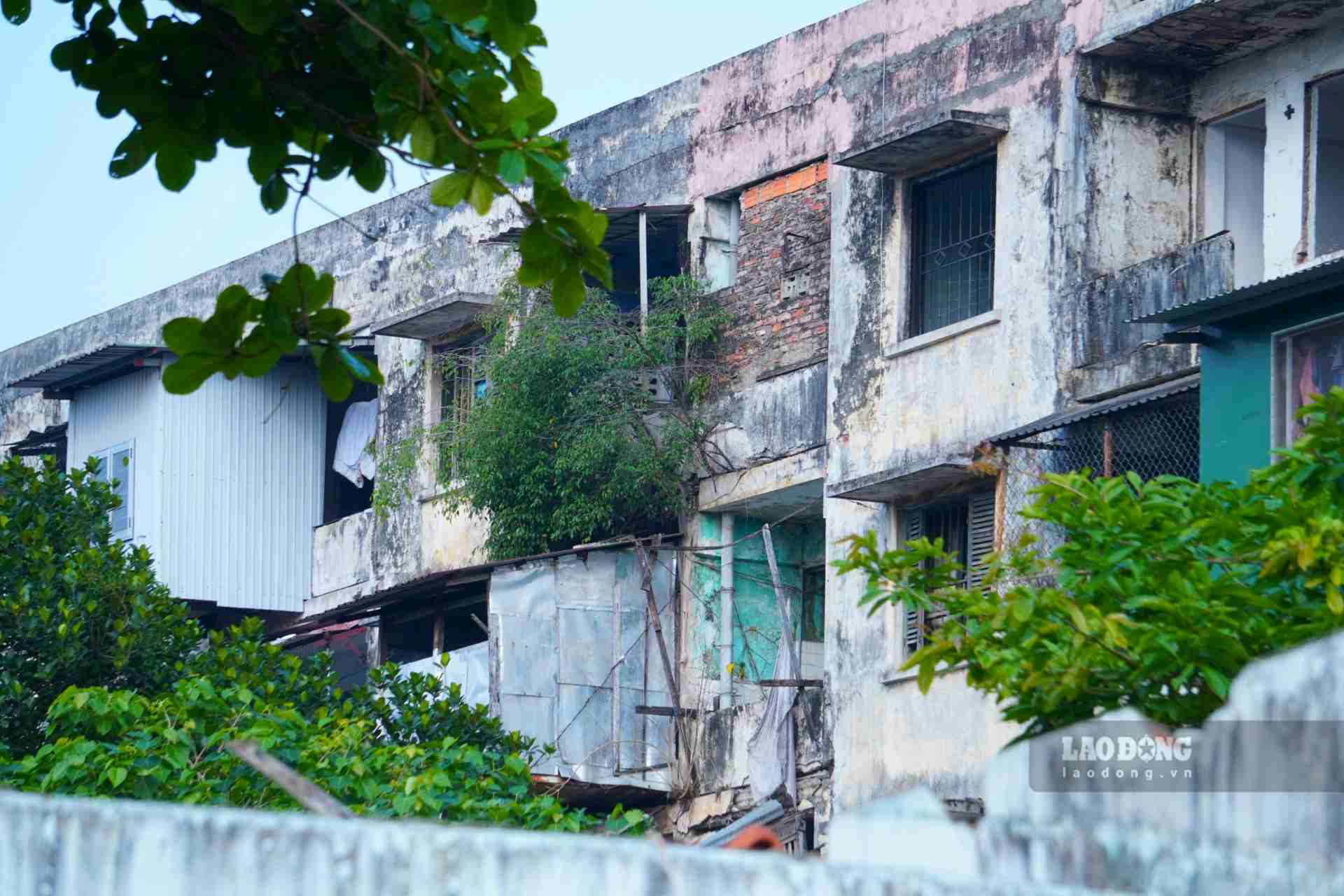 Sau nhieu nam su dung, chung cu Dong Da da xuong cap nghiem trong va khong dam bao an toan phong chay chua chay, co so ha tang nhech nhac, anh huong my quan do thi. Rieng 3 day nha A, B, C da xuong cap tram trong tu nhieu nam truoc, xuat hien nhieu diem ran nut, bung xi-mang, de lo sat thep. (Anh chup thang 3.2024)