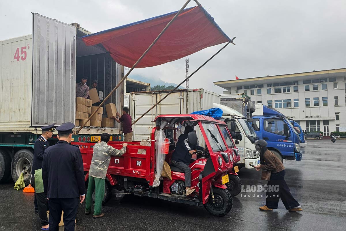 Hoat dong boc xep hang hoa tai Loi thong quan Bac Phong Sinh (Hai Ha, Quang Ninh). Anh: Doan Hung