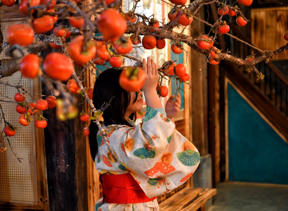 Space with the colors of the cherry blossom country.