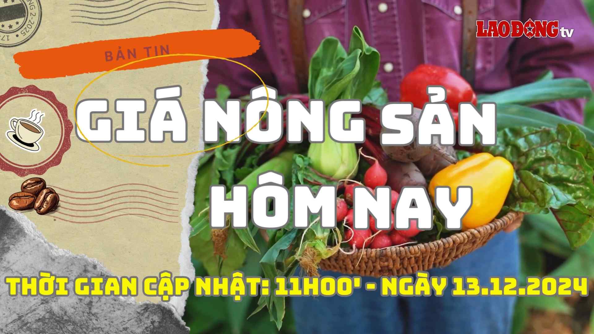 Agricultural product prices today, December 13, 2024. Photo: Phan Tuan