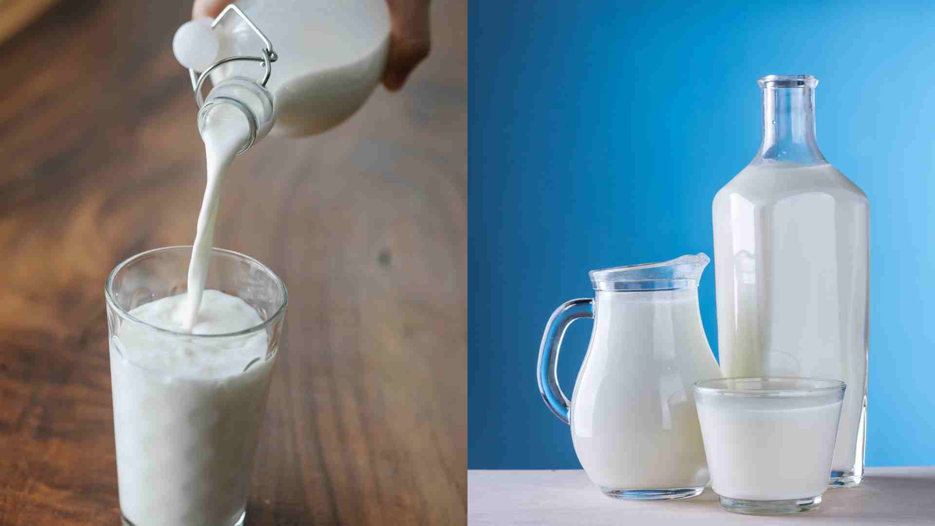 Some people need to pay attention to drinking milk to supplement calcium. Graphics: Ha May