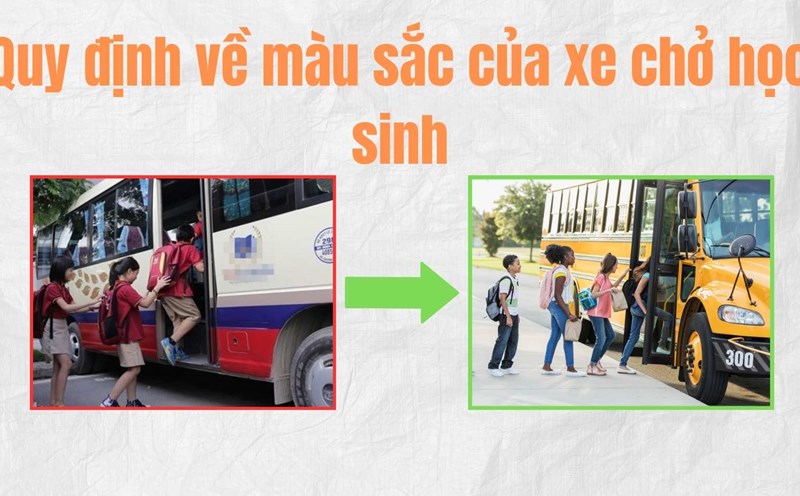School bus color regulations could help reduce accidents