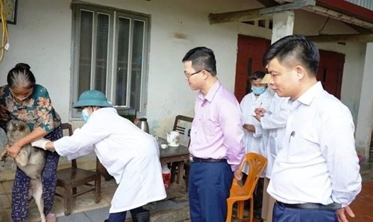 Kiểm tra công tác tiêm phòng bệnh dại cho chó, mèo tại các địa phương. Ảnh: Vũ Long