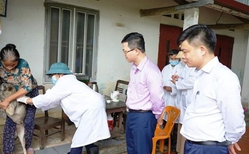 Checking rabies vaccination for dogs and cats in localities. Photo: Vu Long