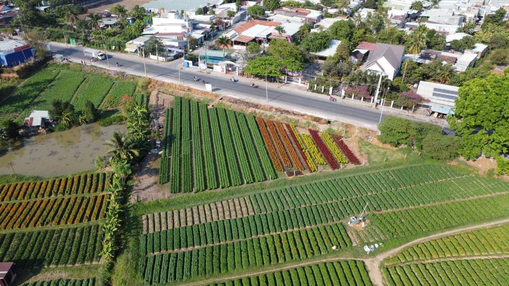 Binh Duong approves educational complex project in Tan Uyen city. Photo: Dinh Trong