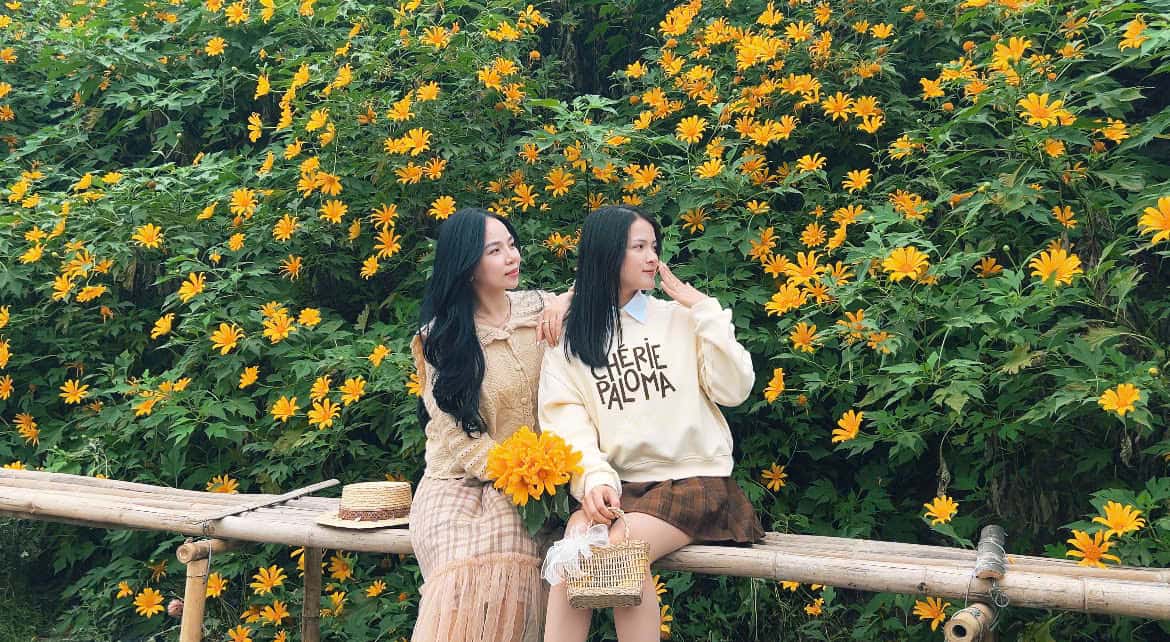 Tourists enjoy taking photos with wild sunflowers. Photo: Hoai Lan