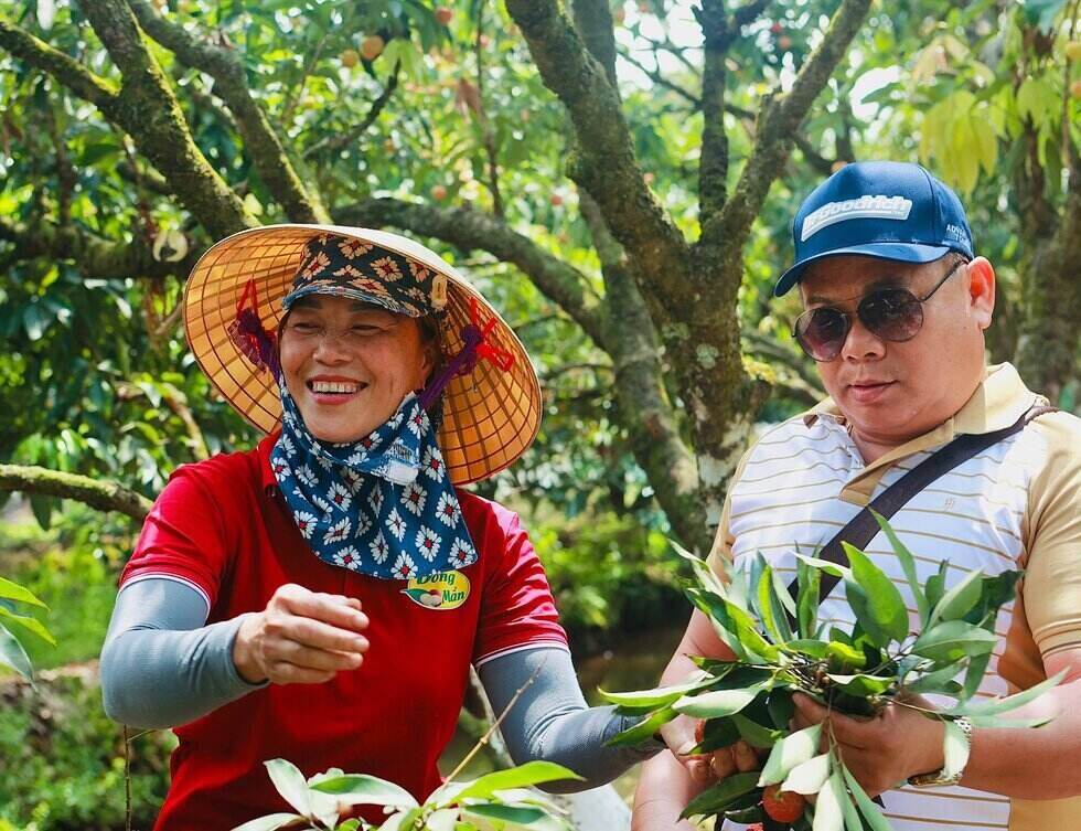 Du khach tham quan, trai nghiem hai vai tai vuon vai Thanh Ha. Anh: Nguyen Thuy 