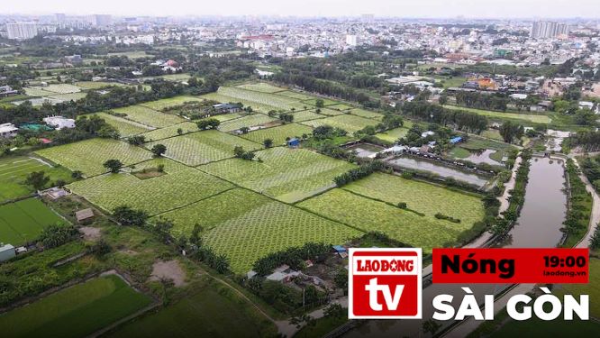 Hot in Saigon: Current status of 7,500 billion VND project in Ho Chi Minh City suspended for 25 years
