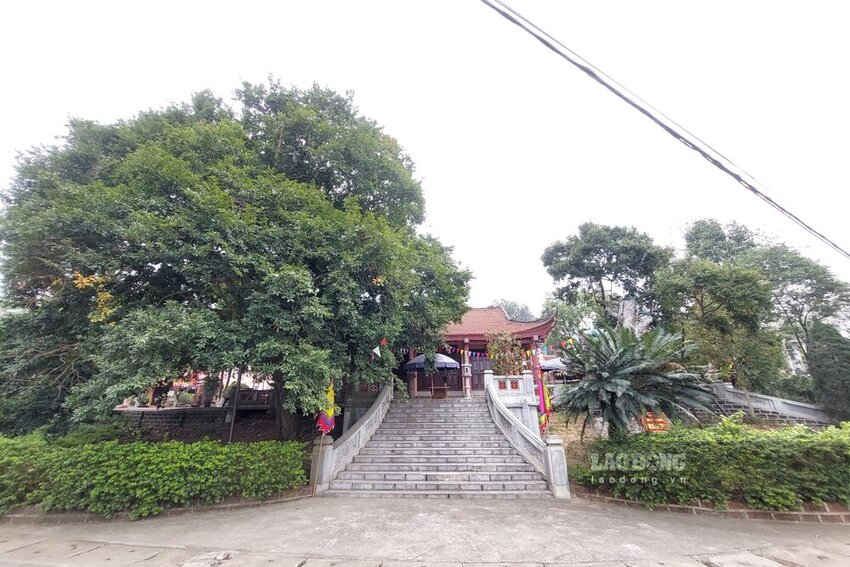 Phu Tho province currently has 73 national relics and 254 provincial relics. Photo of Thien Co temple in Phu Tho: To Cong.