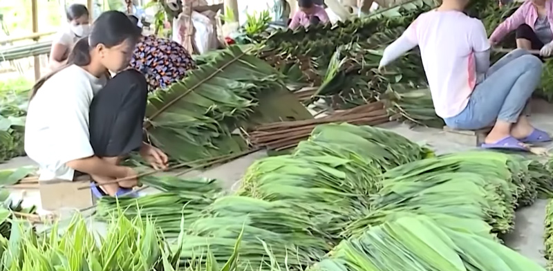 Viec thu hoach va so che la giang cung dem lai thu nhap dang ke cho ba con. Anh: Bao Chung.