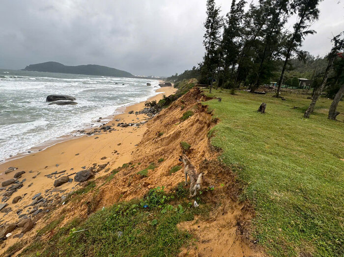 Tinh trang sat lo bo bien tai xa Binh Thuan, huyen Binh Son, gan khu vuc bon chua san pham Nha may loc dau Dung Quat. Anh: Vien Nguyen