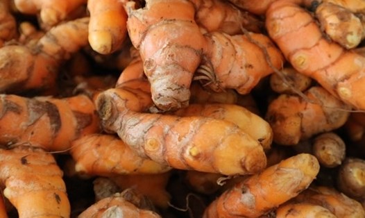 Nghệ có khả năng giảm mỡ bụng khi được sử dụng đúng cách. Ảnh: Kiều Vũ