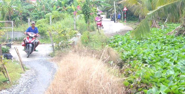 Nhieu diem sat lo tai huyen Hong Dan, Bac Lieu van chua khac phuc. Anh: Nhat Ho