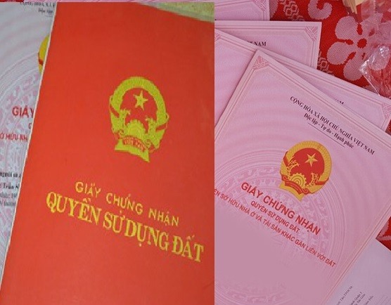 People can apply for a single red book for many agricultural plots. Illustration photo: Minh Huy
