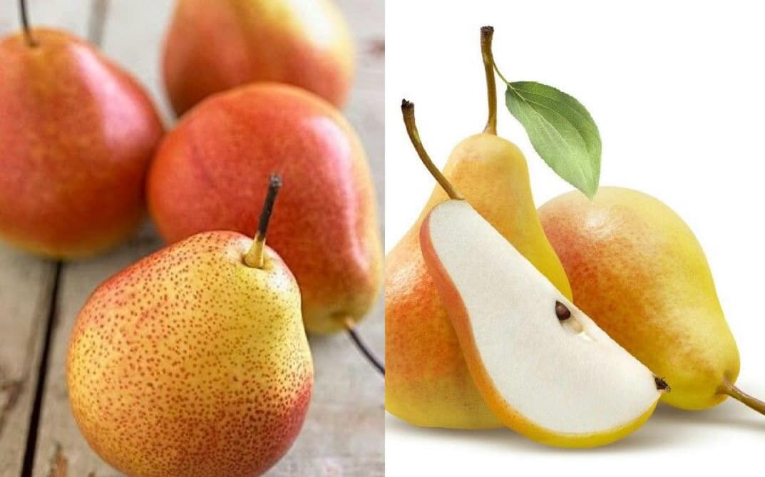 Sweet and cool fruit helps reduce uric acid effectively. Graphics: Huong Giang