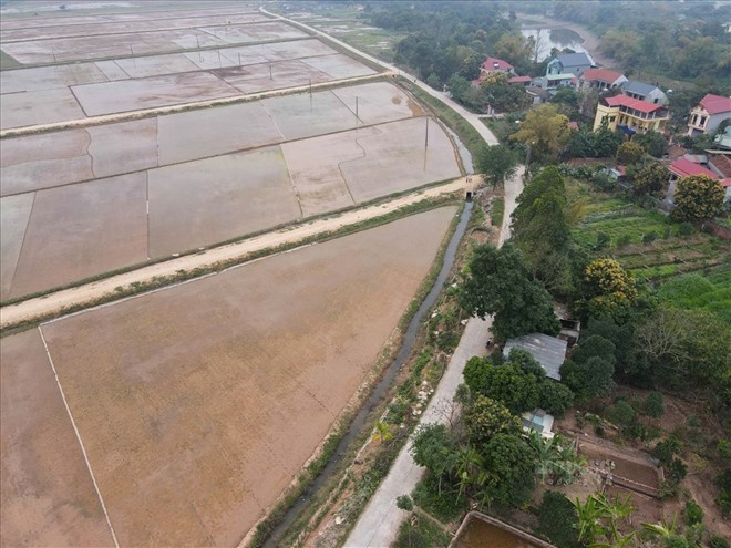 The basis for allowing the conversion of agricultural land use purposes is clearly stipulated in Clause 5, Article 166 of the 2024 Land Law. Illustration photo: Phan Anh