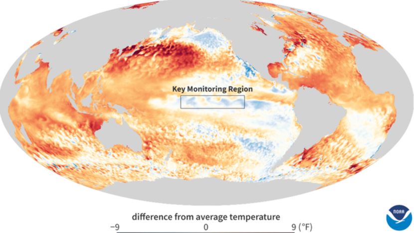 Nhiet do mat nuoc bien toan cau. Anh: NOAA