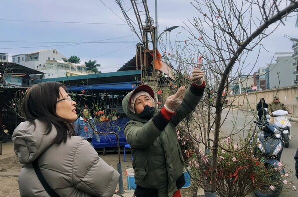 People look to buy peach blossoms early for Tet. Photo: Lan Huong.