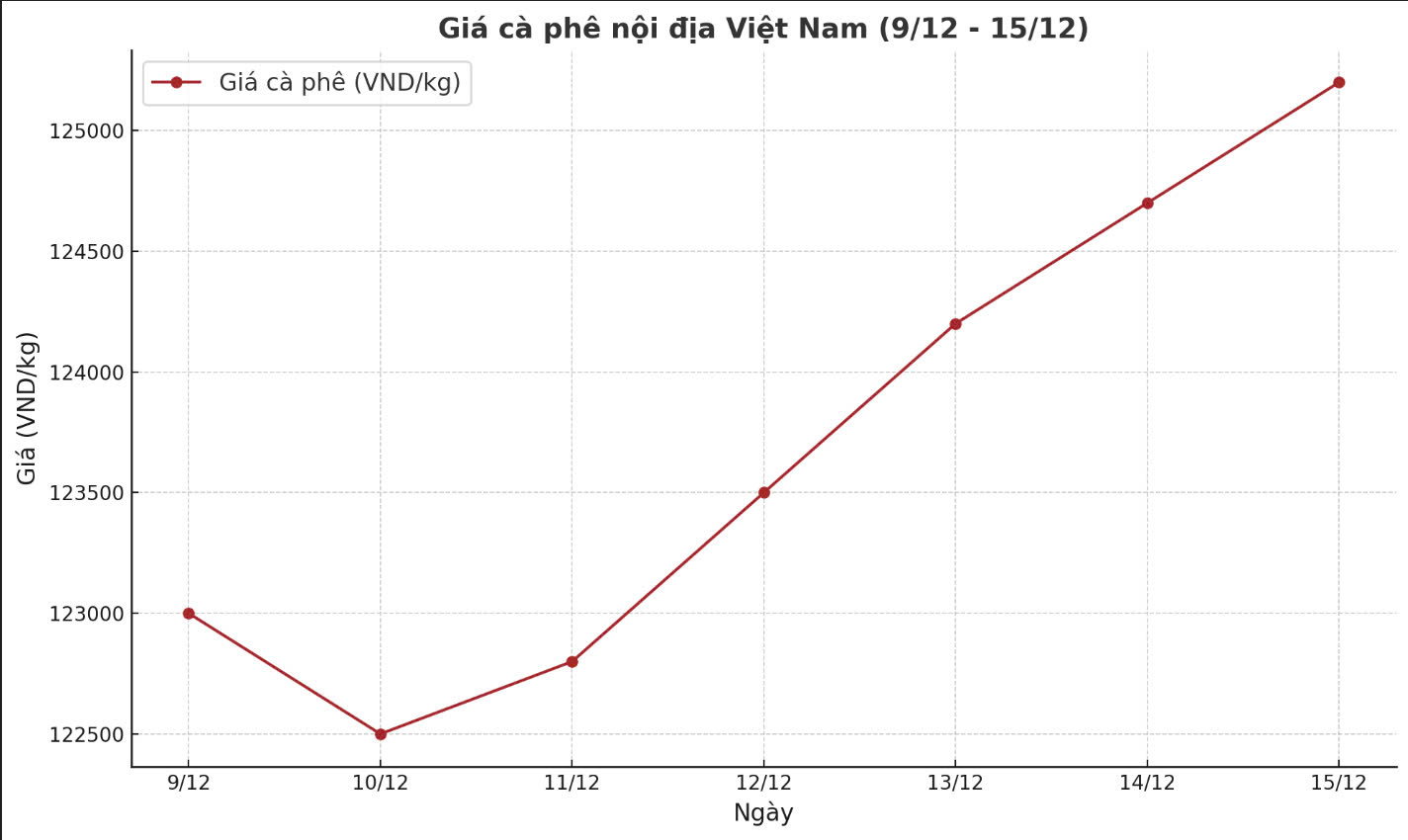 Tong ket gia ca phe noi dia tuan tu 9.12-15.12 tang them tu 500-1.200 dong/kg. Anh: Thanh Binh. 