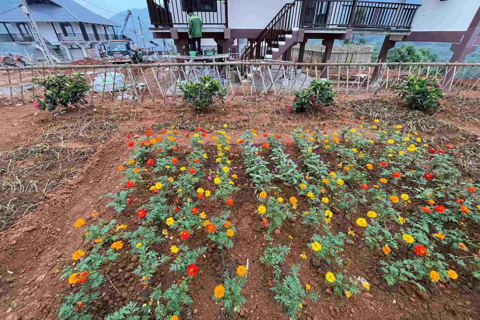 Bright flower beds are planted next to the newly completed stilt house. Photo: Dinh Dai