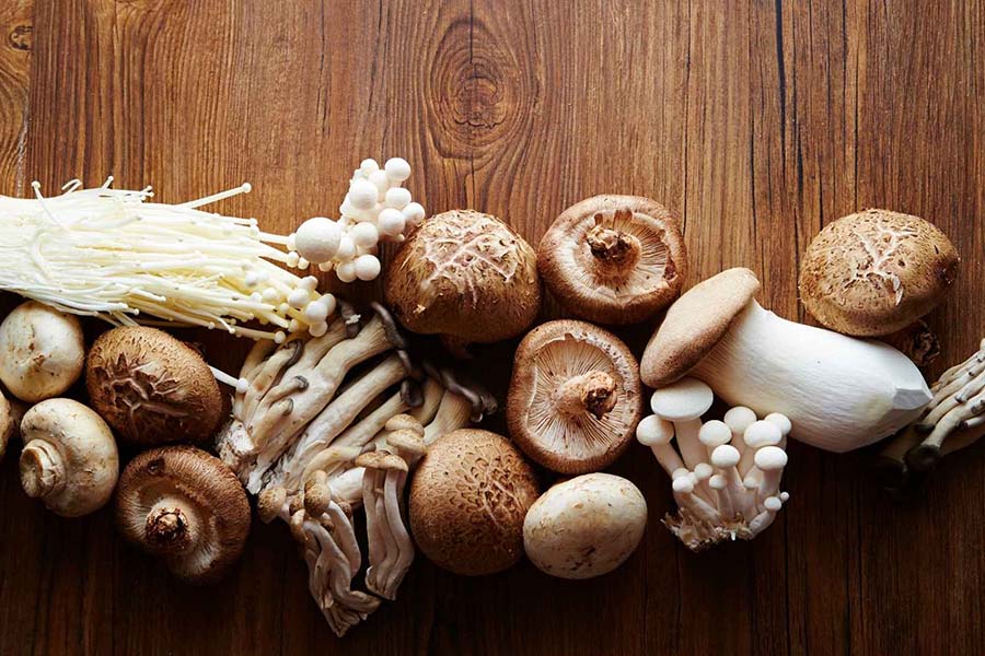 Mushrooms help prevent osteoporosis in the elderly