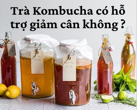 Does Kombucha Tea Help You Lose Weight? Graphics: Kim Thuy