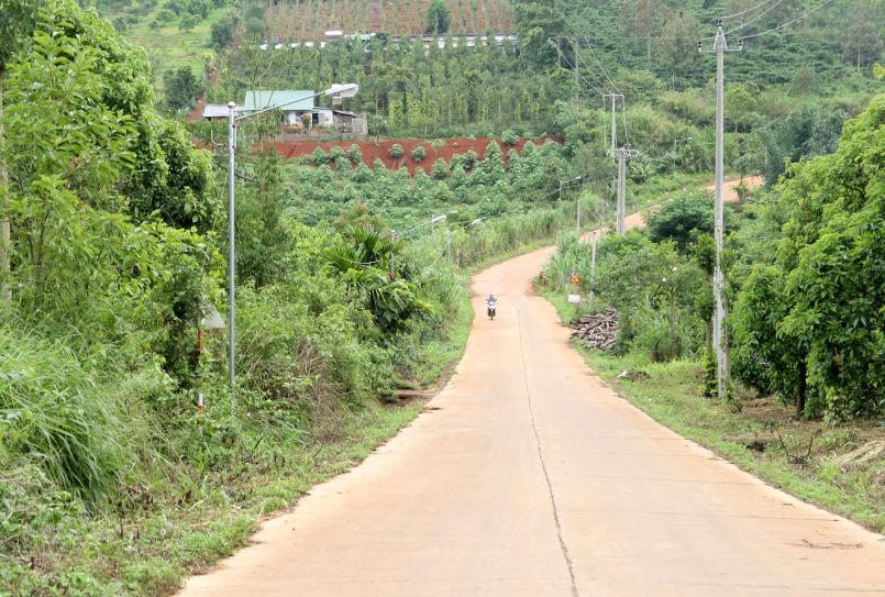 New rural program, contributing to changing the face of the homeland in Dak Song district. Photo: Bao Lam