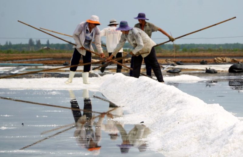 It is necessary to develop the salt industry to enrich salt farmers. Photo: Nhat Ho
