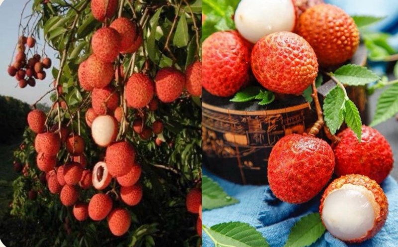This fruit not only causes heat in the body but also increases uric acid. Graphics: Huong Giang