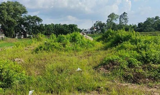 Nam Định sắp tổ chức đấu giá 28 lô đất. Ảnh minh họa: Đặng Tiến