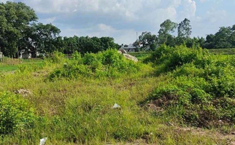 Nam Dinh is about to auction 28 land lots. Illustration photo: Dang Tien