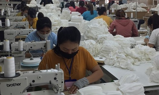 Năm 2024 Phú Yên giải quyết việc làm mới cho hơn 27.000 lao động. Ảnh: Nguyễn Hân