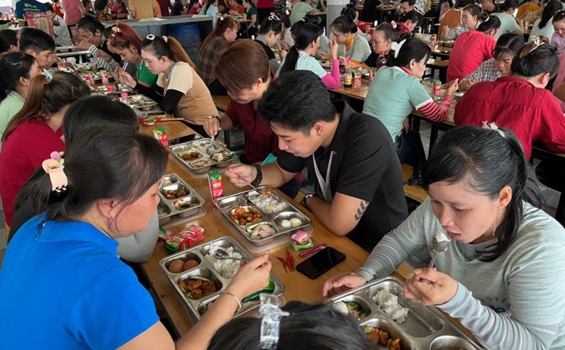 Workers working in Long An province. Illustrative photo. Photo: Document
