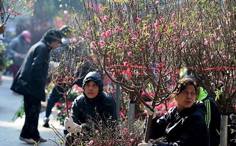 Many provinces have announced the Lunar New Year holiday schedule for officials, civil servants, public employees and workers. Illustration photo: Hong Cuong