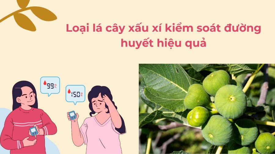 Ugly leaves effectively control blood sugar. Graphics: Phuong Anh
