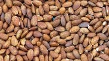 If you want to exercise on an empty stomach to reduce visceral fat, you should eat some almonds before exercising. Photo: Kieu Vu