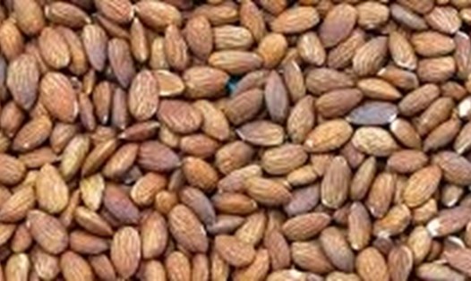 Nếu muốn tập thể dục lúc đói để giảm mỡ nội tạng thì trước khi tập nên ăn một ít hạt hạnh nhân. Ảnh: Kiều Vũ