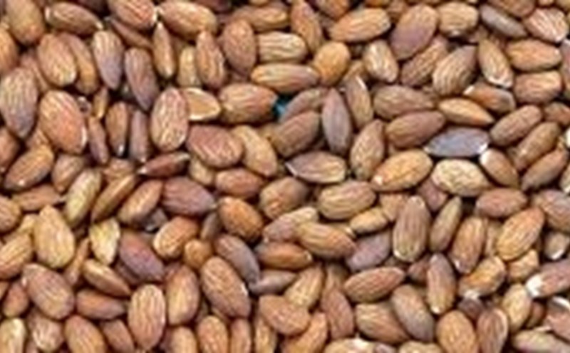 If you want to exercise on an empty stomach to reduce visceral fat, you should eat some almonds before exercising. Photo: Kieu Vu