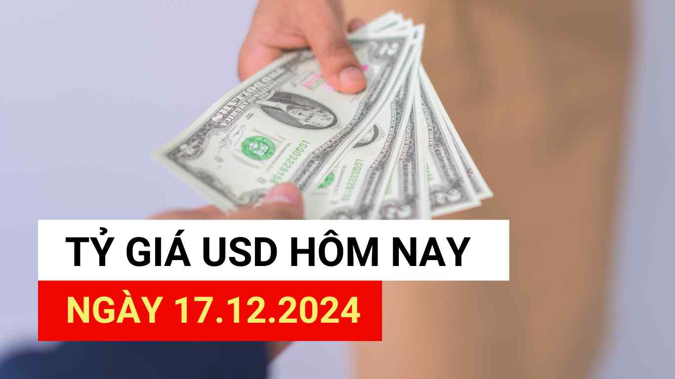 USD exchange rate today 12/17/2024.