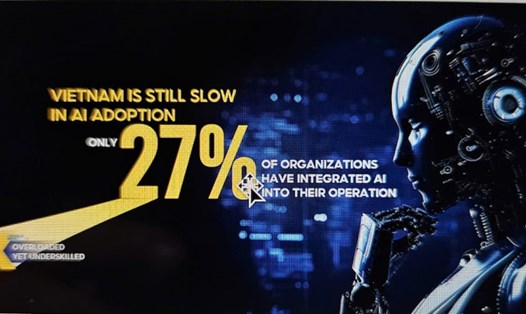 Theo Công ty Cổ phần Anphabe, chỉ 27% doanh nghiệp tại Việt Nam đã tích hợp AI vào quy trình kinh doanh. Ảnh: Anphabe