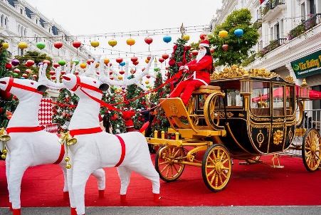 The giant pine garden at Danko City quickly became an ideal check-in spot for young people.