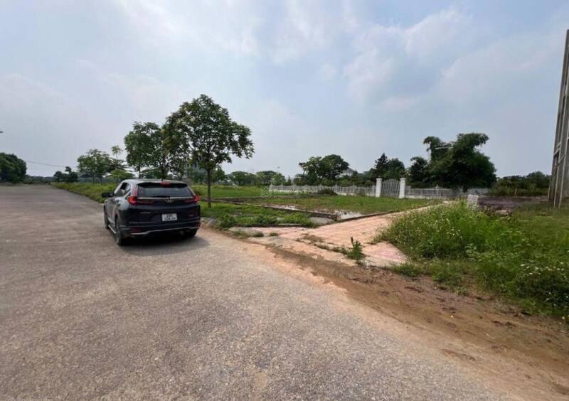 The service land segment in the suburbs of Hanoi is attracting a lot of attention. Photo: Thu Giang