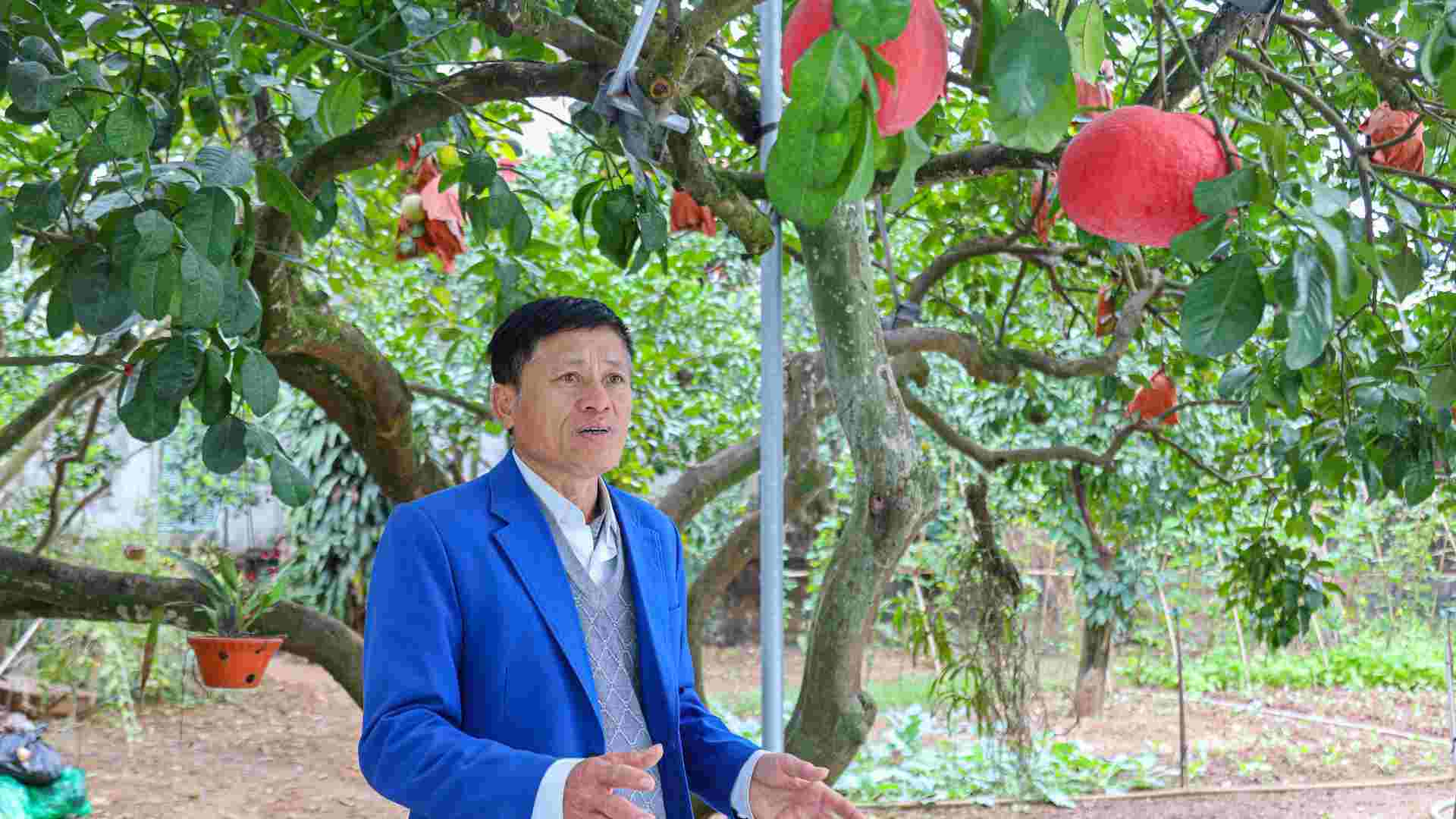 “Tuy nhien cung co cai may man la nuoc lu khong lam hai den cay va kha nang sinh song cua cay sau nay“, ong Phuong cho biet.