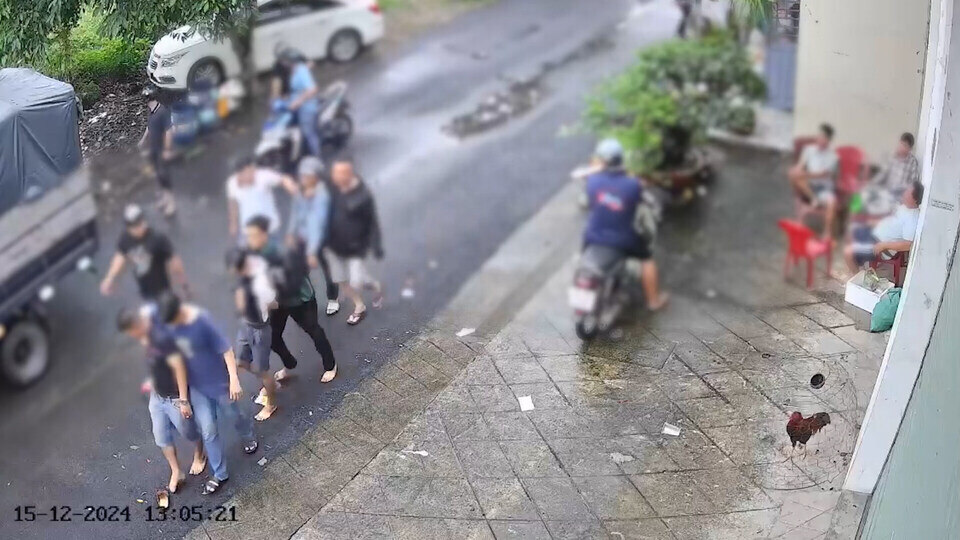 Hoc Mon police arrest 29 people involved in gambling on cockfighting